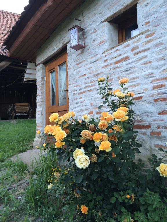Dominic Boutique - Gardener'S Cottage Cloasterf Exterior foto